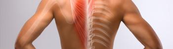 Dolor interescapular persistente: causas poco conocidas y cómo tratarlas con fisioterapia Dolor interescapular persistente: causas poco conocidas y cómo tratarlas con fisioterapia