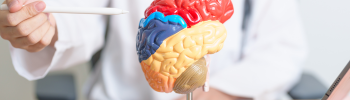 Fisioterapia Neurológica: Terapias para Pacientes con Lesiones del Sistema Nervioso