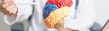 Fisioterapia Neurológica: Terapias para Pacientes con Lesiones del Sistema Nervioso