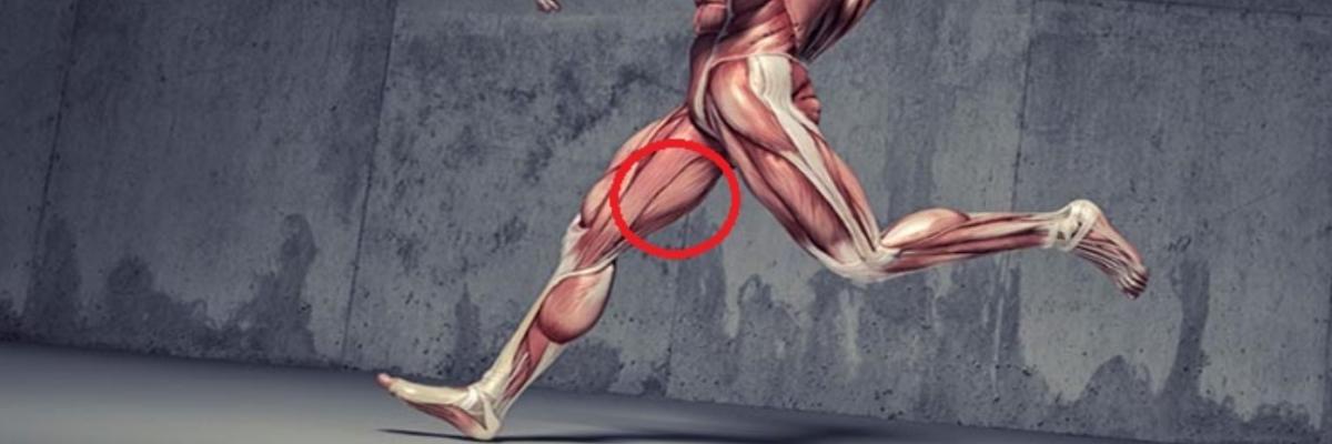 Rotura de isquiotibiales en corredores: ¿Se puede prevenir? - FisioClinics Sabadell