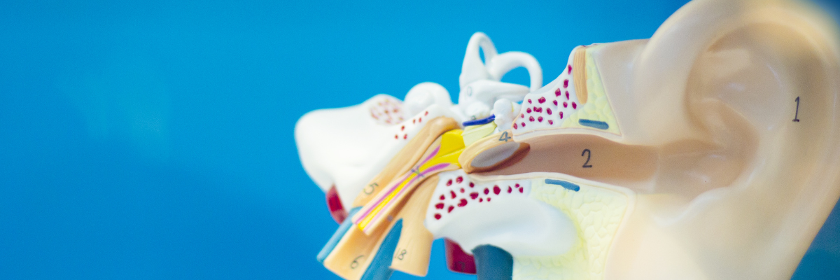 Tratamientos de fisioterapia personalizados para el Síndrome de Ménière: cada caso es único