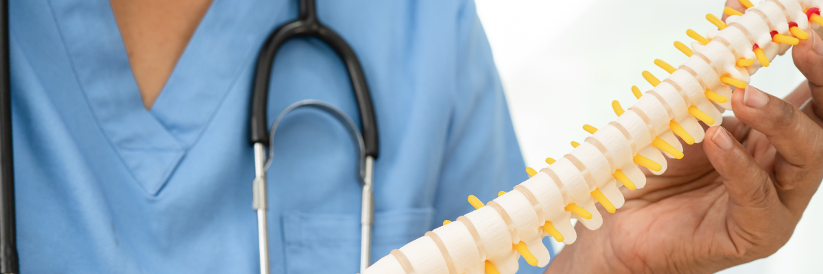 Diferencias entre Hernia Discal y Otros Problemas de Espalda