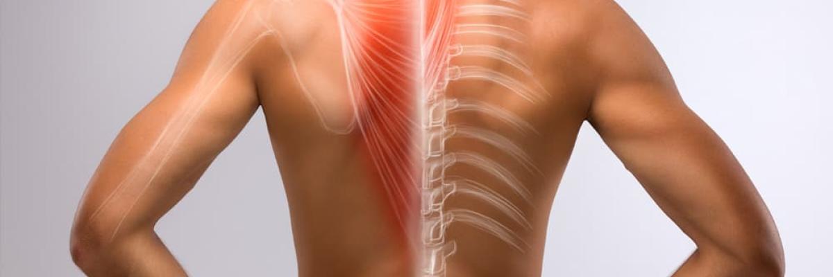 Dolor interescapular persistente: causas poco conocidas y cómo tratarlas con fisioterapia