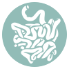 fisioterapia visceral Madrid 