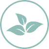 plantas medicinales y alimentacion herramienta fisioclinics plantas medicinales y alimentacion herramienta fisioclinics